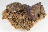 Calcite Crystals Coated With Purple (Yttrofluorite?) Fluorite #177684-1